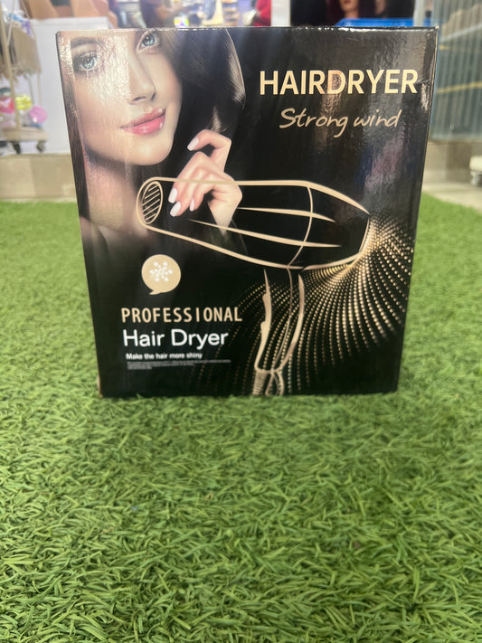 Professional hair dryer