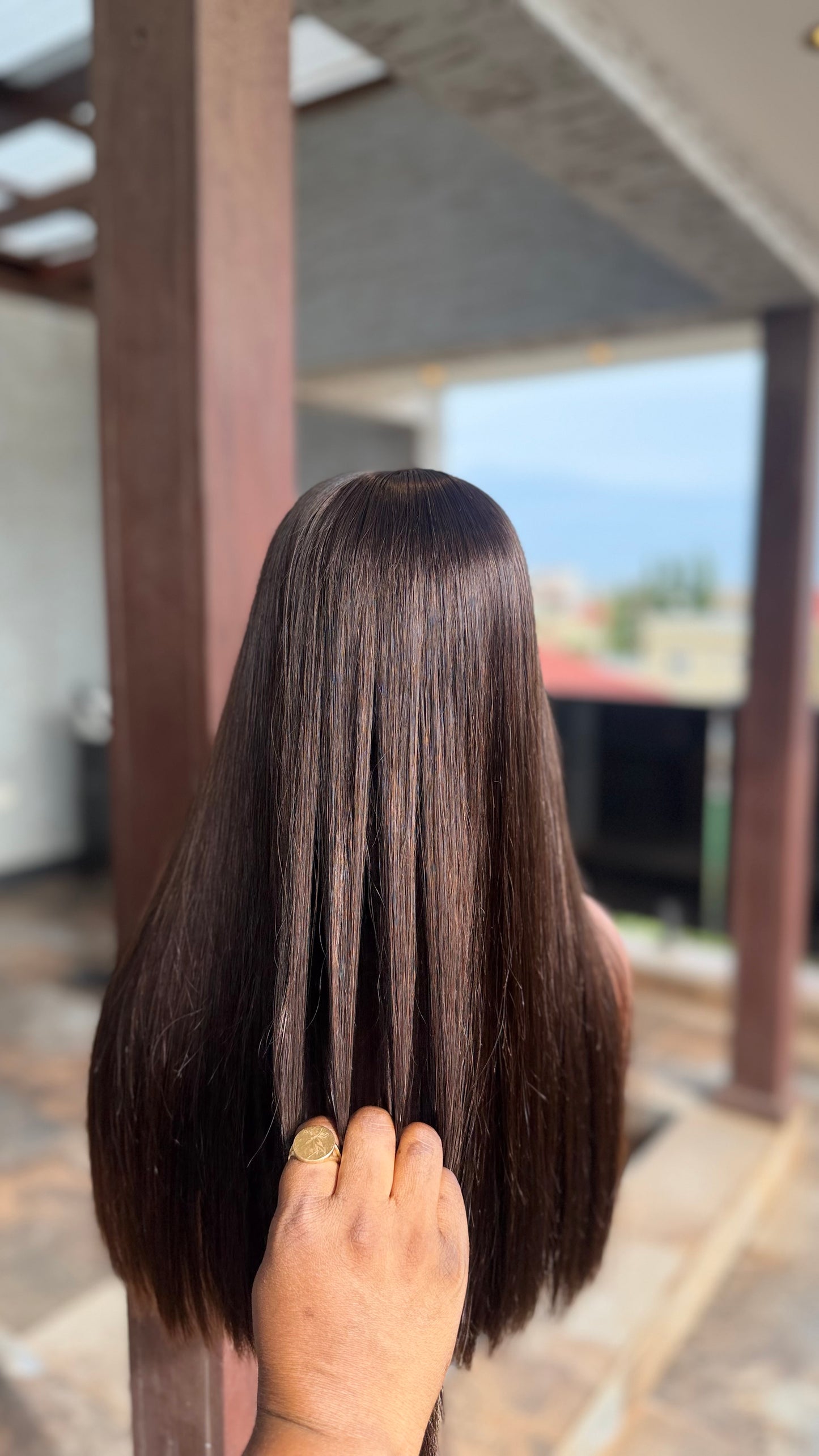 2×6 Donor Straight Wig – SDD Raw Donor Hair | Super Double Drawn Straight Wig