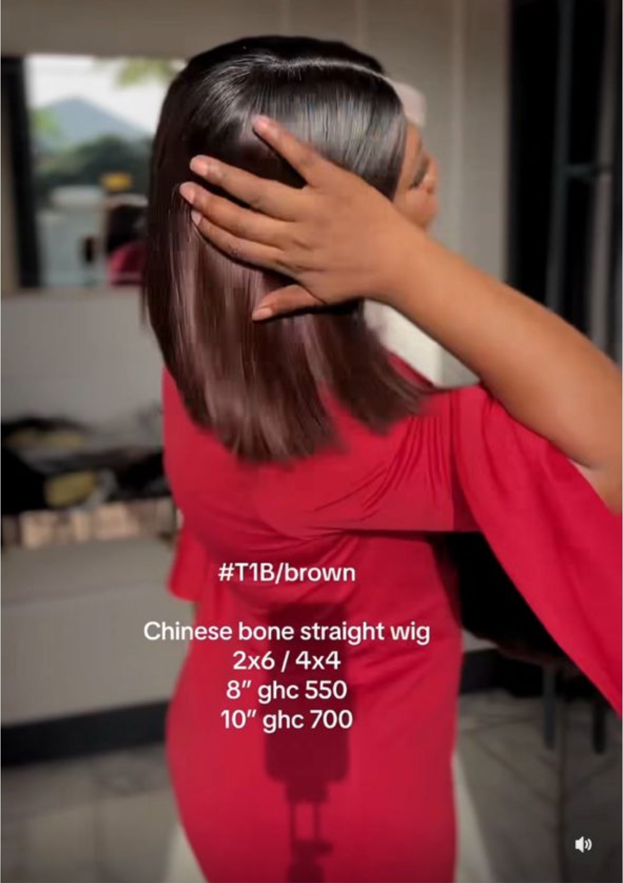 Chinese bone straight wig T1B/brown